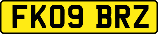 FK09BRZ