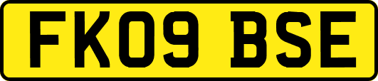 FK09BSE