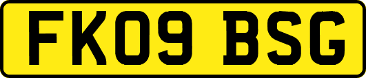 FK09BSG