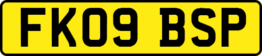 FK09BSP
