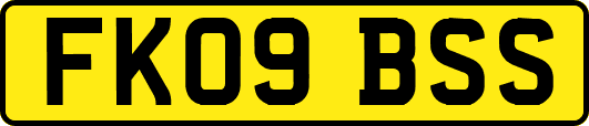 FK09BSS