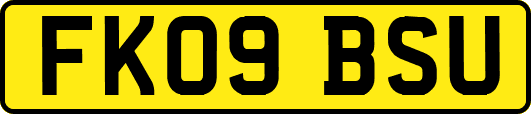 FK09BSU