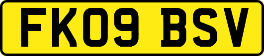 FK09BSV