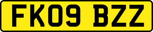 FK09BZZ