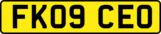 FK09CEO