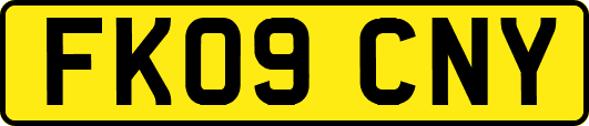FK09CNY