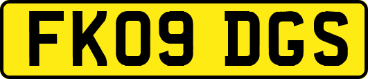 FK09DGS