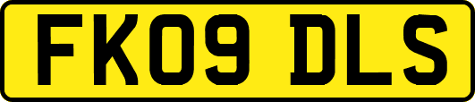 FK09DLS