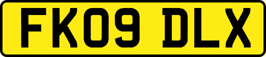 FK09DLX