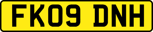 FK09DNH