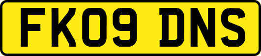FK09DNS