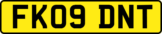 FK09DNT