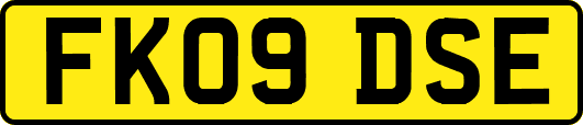 FK09DSE
