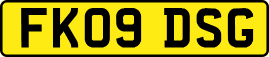 FK09DSG