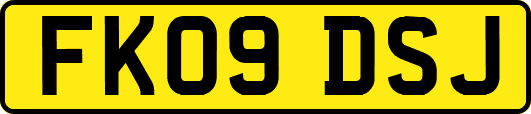 FK09DSJ