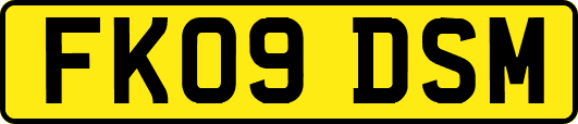 FK09DSM