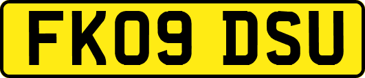 FK09DSU