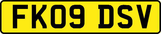 FK09DSV