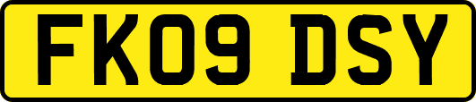 FK09DSY