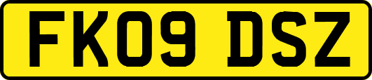 FK09DSZ