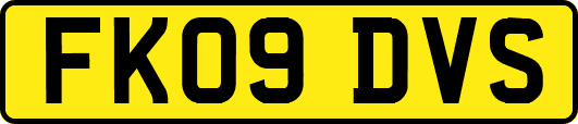 FK09DVS