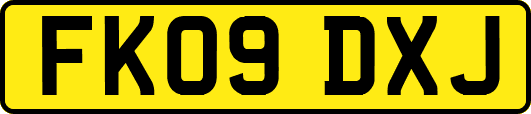 FK09DXJ