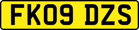 FK09DZS