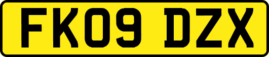 FK09DZX