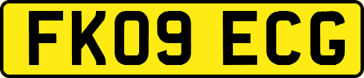 FK09ECG