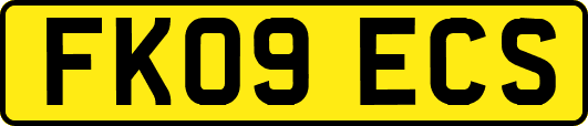 FK09ECS