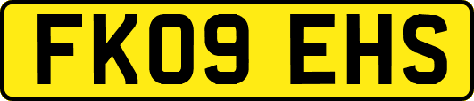 FK09EHS