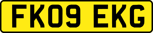 FK09EKG