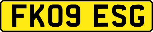 FK09ESG
