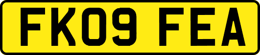 FK09FEA