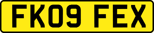 FK09FEX