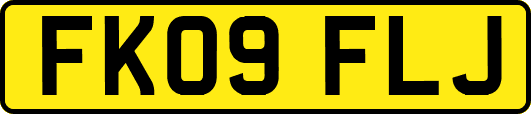 FK09FLJ