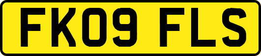 FK09FLS