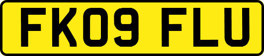 FK09FLU