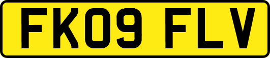 FK09FLV