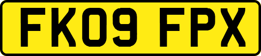 FK09FPX