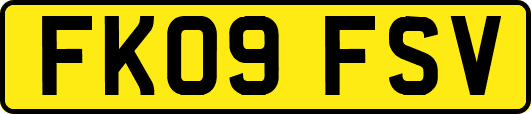 FK09FSV