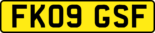 FK09GSF