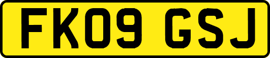 FK09GSJ