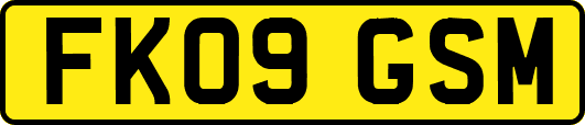 FK09GSM