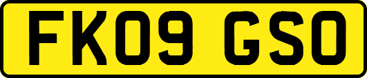 FK09GSO
