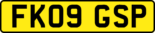 FK09GSP