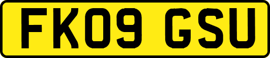 FK09GSU
