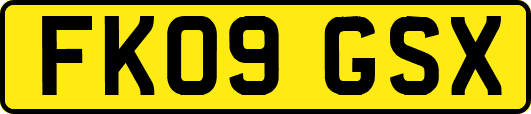 FK09GSX