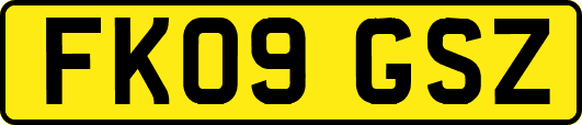 FK09GSZ