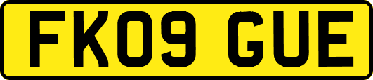 FK09GUE